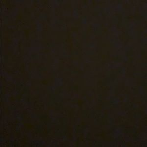 Meet your Posher, Chase